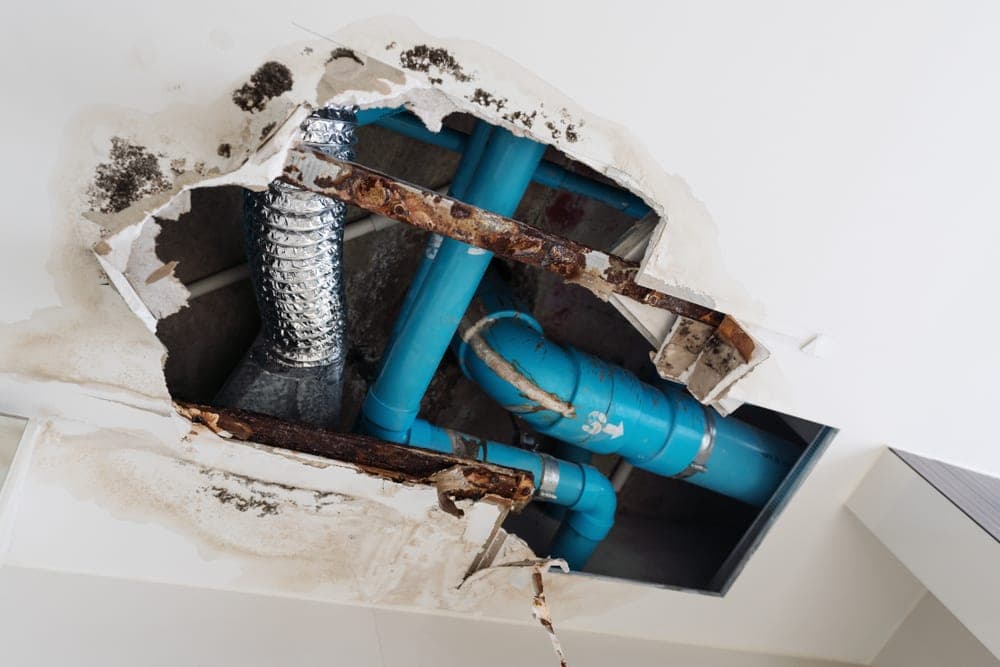 5 Causes of Household Water Damage & How to Fix Water Leaks