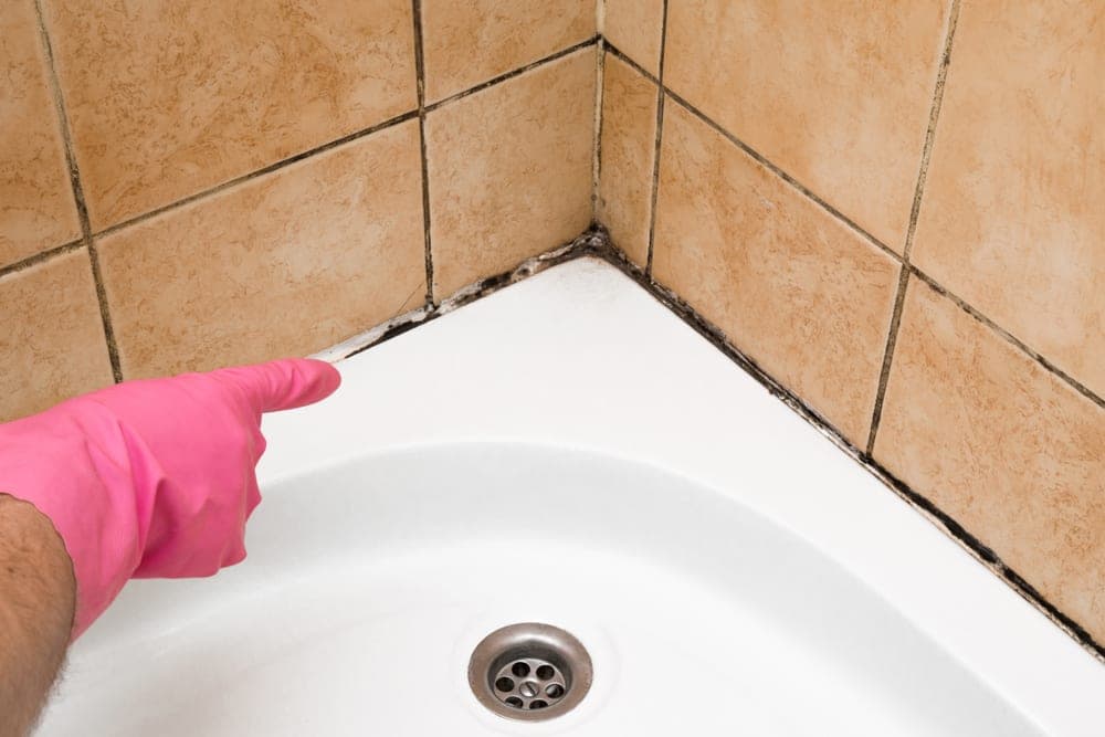 5 Ways to Prevent Mold in Your Bathroom