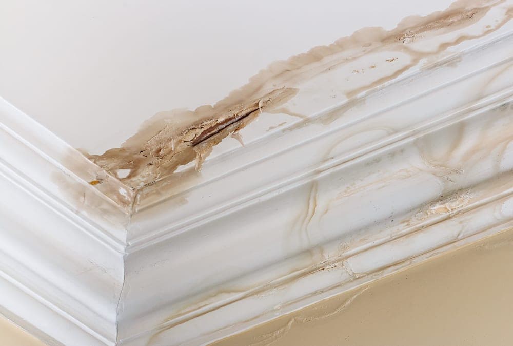 water damage from pipes