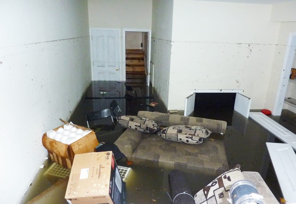 5 Causes of Household Water Damage & How to Fix Water Leaks