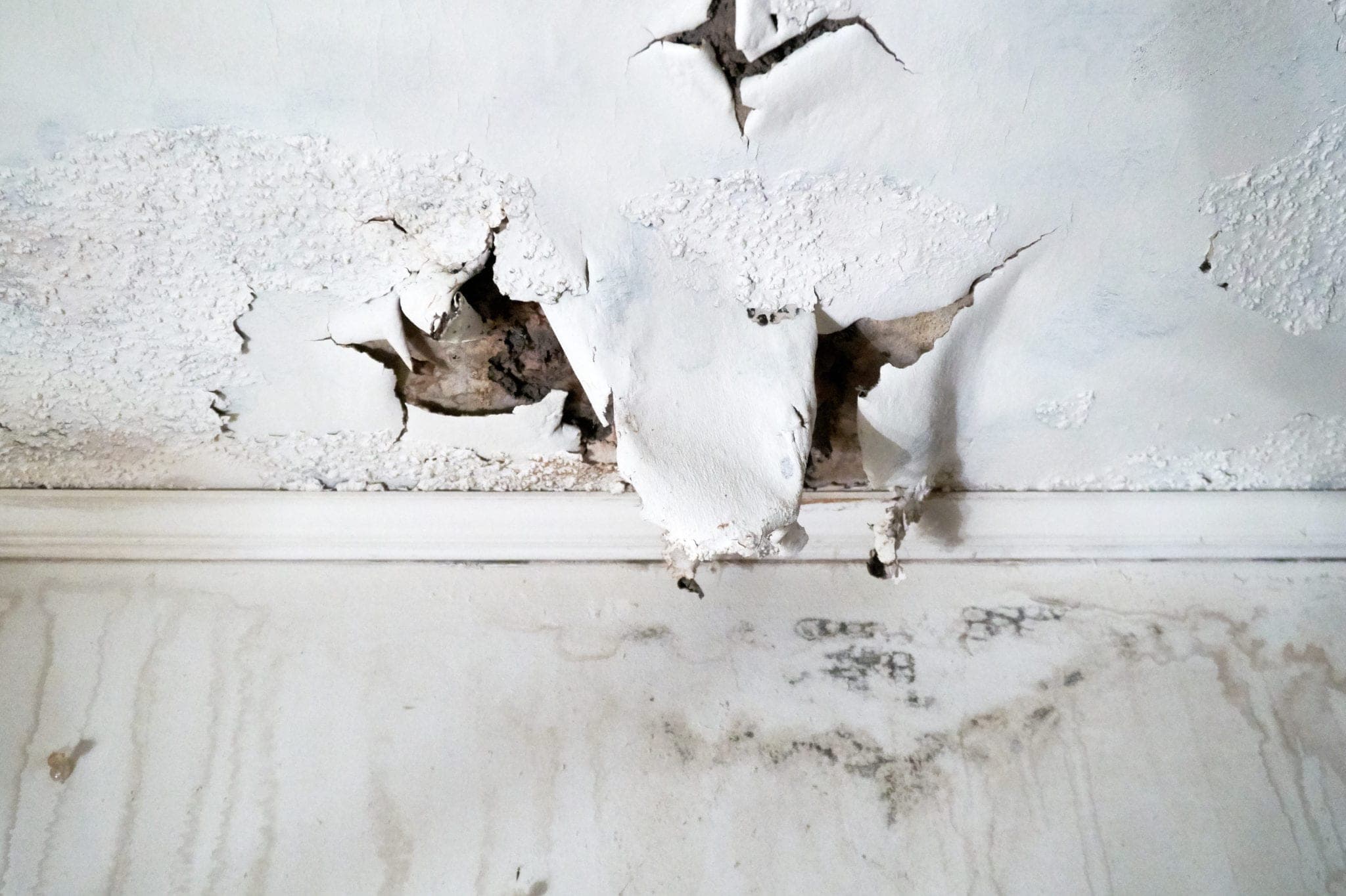 Sights and Smells That Can Indicate Water Leak Repair Issues: