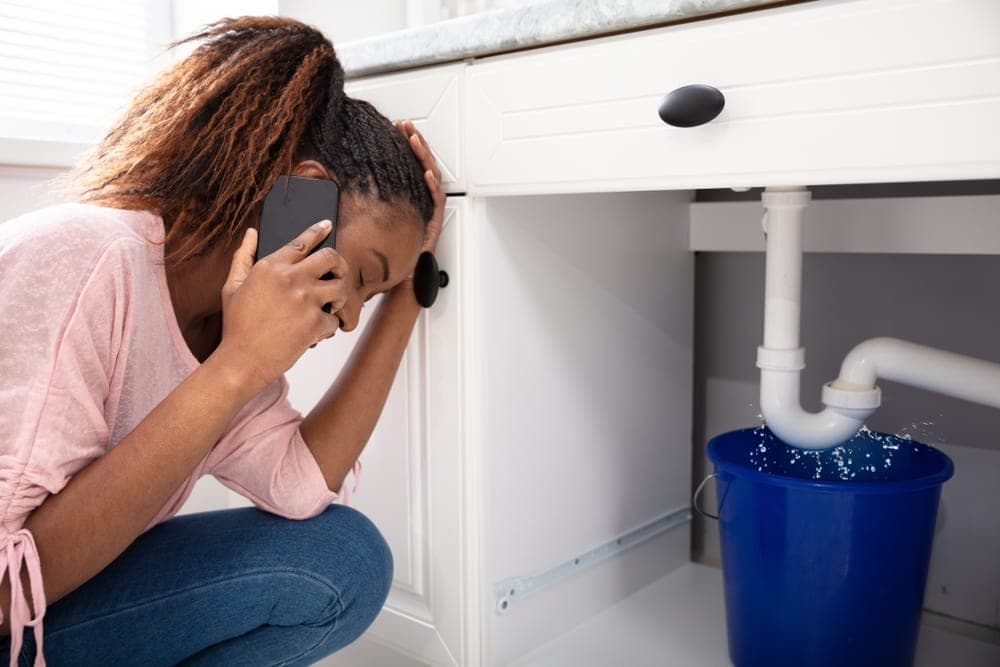 What is a P-Trap Pipe? Ordinary Problems & How to Replace
