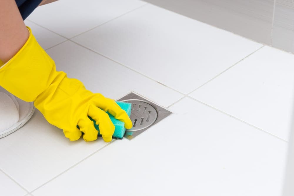 Clean Your Shower Frequently To Prevent the Growth of Mold in the Bathroom