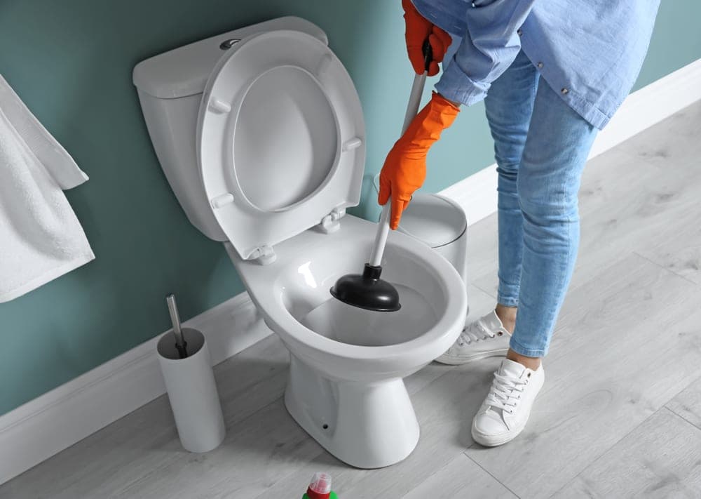 Toilet Plunger